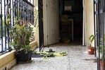Hallan cadáveres de madre e hijo en avanzado estado de descomposición en apartamento en Bella Vista Hallan cadáveres de madre e hijo en avanzado estado de descomposición en apartamento en Bella Vista