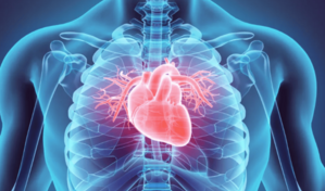 Investigadores obtienen un mapa virtual que muestra cómo se forma el corazón de los mamíferos