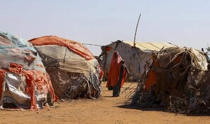 ONU: el hambre afecta a 645 millones de personas en el mundo, aunque se redujo en 2025