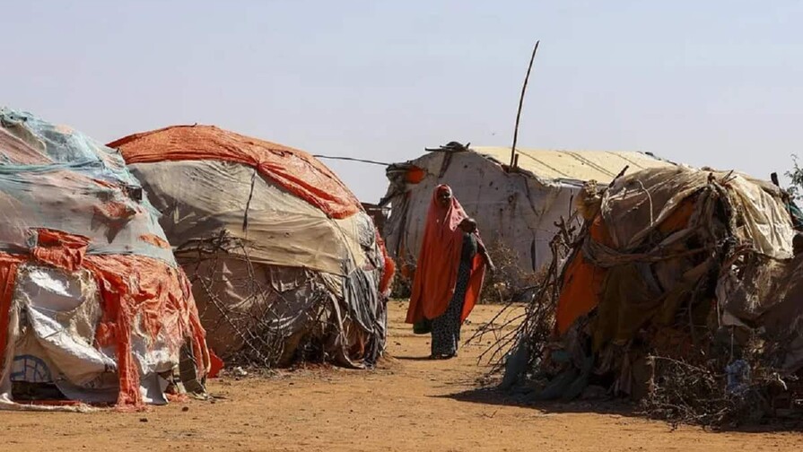 ONU: el hambre afecta a 645 millones de personas en el mundo, aunque se redujo en 2025 ONU: el hambre afecta a 645 millones de personas en el mundo, aunque se redujo en 2025