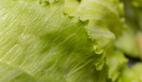 EE. UU. actualiza su gu&iacute;a sobre productos frescos en medio de varias alertas alimentarias