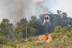 España estabiliza un grave incendio en el centro del país en otra jornada crítica España estabiliza un grave incendio en el centro del país en otra jornada crítica