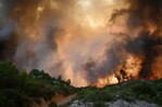 Incendios arrasan partes del sur de Francia, Italia y España Incendios arrasan partes del sur de Francia, Italia y España