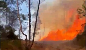 Fuego forestal afecta zona monta&ntilde;osa de San Jos&eacute; de las Matas