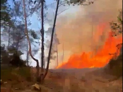 Un fuego afecta zona montañosa de San José de las Matas