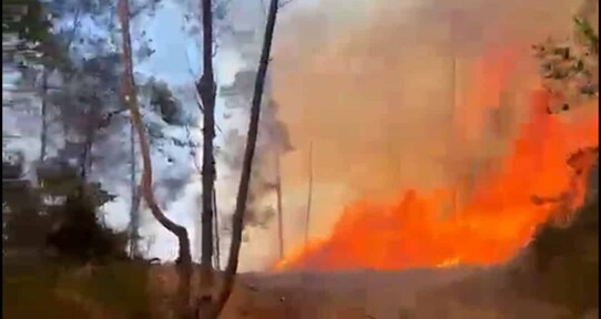 Fuego forestal afecta zona monta&ntilde;osa de San Jos&eacute; de las Matas