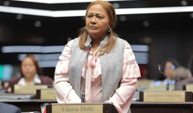 El PLD escoge a Ydania Do&ntilde;&eacute; vocera en la C&aacute;mara de Diputados y de inmediato le entra al gobierno