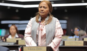 El PLD escoge a Ydania Doñé vocera en la Cámara de Diputados y de inmediato le entra al gobierno