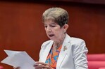 El debate y los argumentos de los senadores antes de aprobar el C&oacute;digo Penal