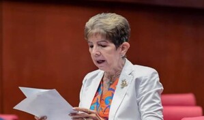 El debate y argumentos de los senadores antes de aprobar el Código Penal