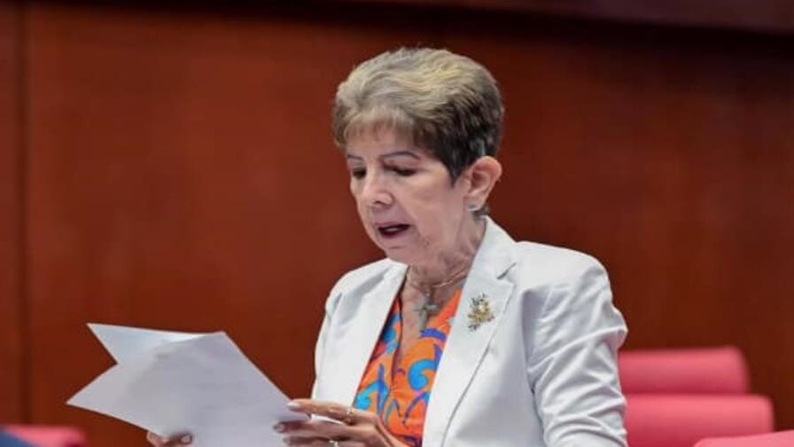 El debate y argumentos de los senadores antes de aprobar el Código Penal