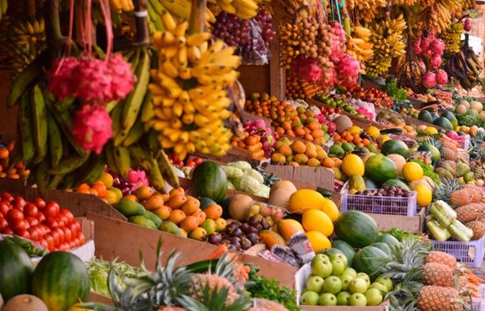 Hambre Cero: la decisi&oacute;n pol&iacute;tica de un pa&iacute;s que siembra oportunidades