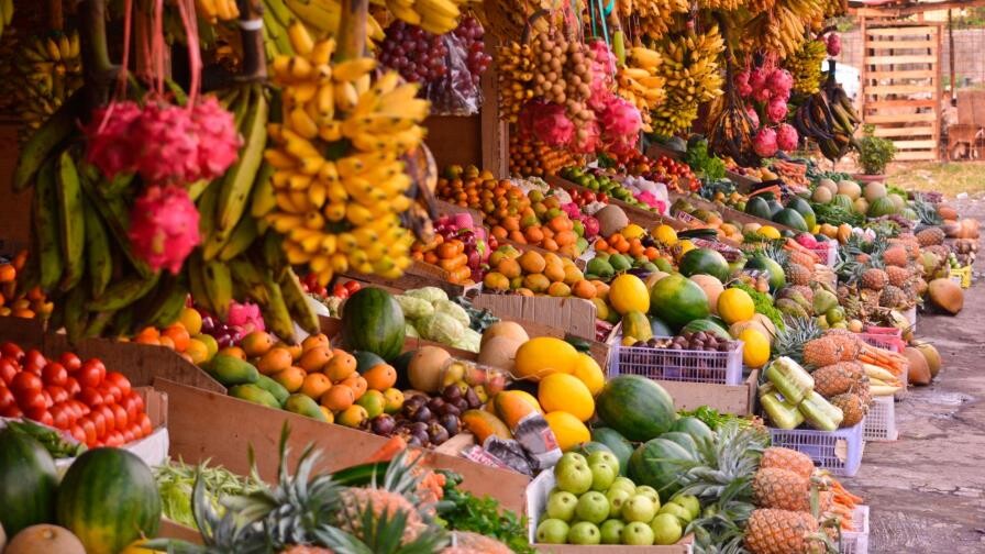 Hambre Cero: la decisi&oacute;n pol&iacute;tica de un pa&iacute;s que siembra oportunidades