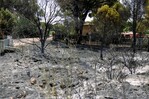 Evacúan 3,500 personas de pueblo a 60 km de Madrid por incendio forestal Evacúan 3,500 personas de pueblo a 60 km de Madrid por incendio forestal