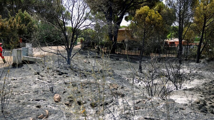 Evacúan 3,500 personas de pueblo a 60 km de Madrid por incendio forestal