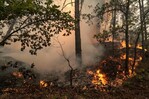 Dos grandes incendios avanzan en Francia, con 20,000 personas evacuadas cerca de Burdeos