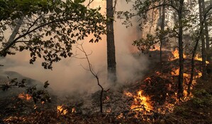 Dos grandes incendios avanzan en Francia, con 20,000 personas evacuadas cerca de Burdeos