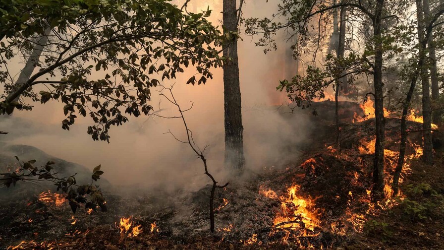 Dos grandes incendios avanzan en Francia, con 20,000 personas evacuadas cerca de Burdeos Dos grandes incendios avanzan en Francia, con 20,000 personas evacuadas cerca de Burdeos