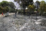 Violentos incendios en el sur de Europa obligan la evacuación de miles de personas