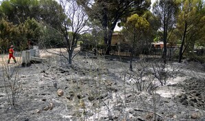 Violentos incendios en el sur de Europa obligan la evacuación de miles de personas