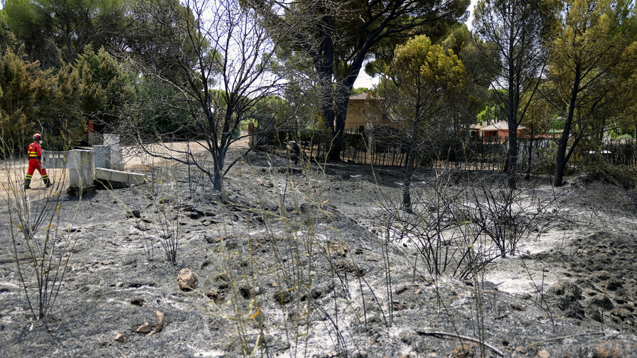 Violentos incendios en el sur de Europa obligan la evacuación de miles de personas Violentos incendios en el sur de Europa obligan la evacuación de miles de personas
