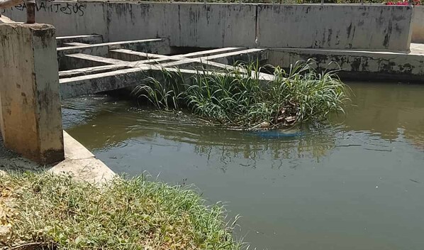 Recuperan cad&aacute;ver de un hombre en canal de riego Ulises Francisco Espaillat en Santiago