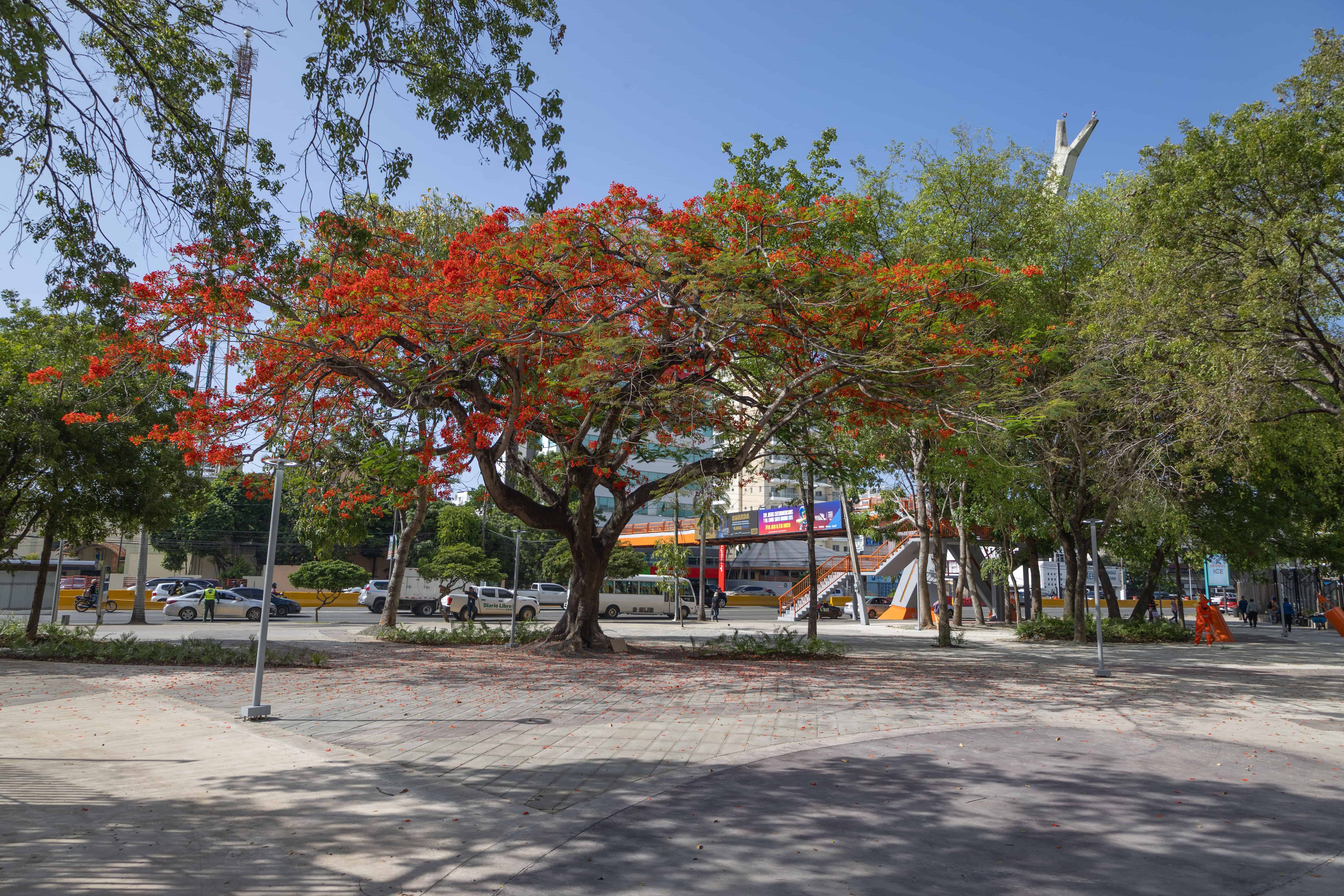 Los alrededores del Centro Ol&iacute;mpico fueron remozados.