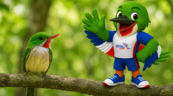 Col&iacute;: el peque&ntilde;o embajador de una familia de aves que solo existe en el Caribe
