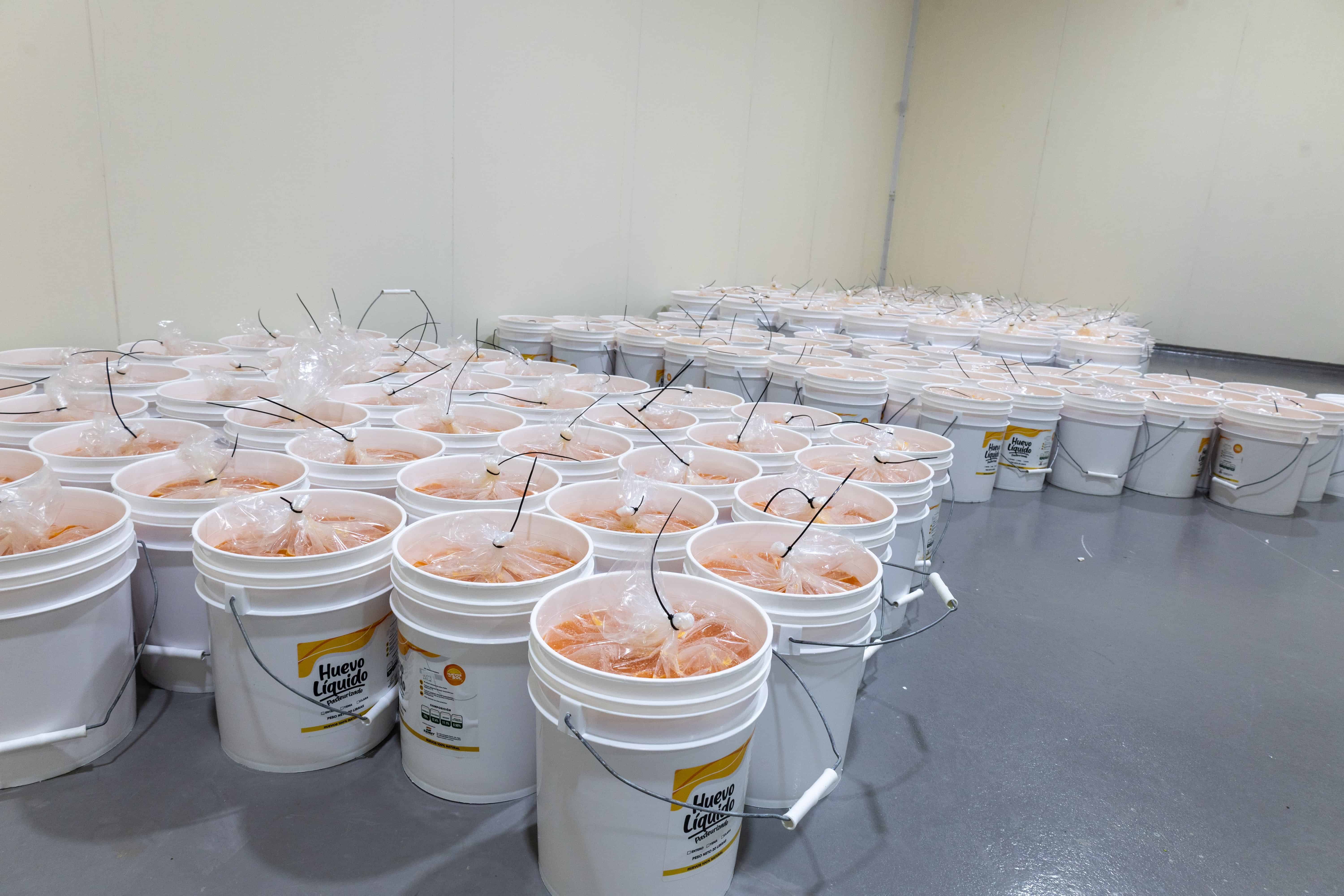 Huevos almacenados en cubetas dentro de un cuarto frío, listos para ser adquiridos por las industrias.