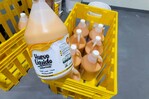 Del cascar&oacute;n al gal&oacute;n, as&iacute; crece la industria del huevo pasteurizado en RD