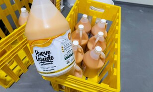 Del cascar&oacute;n al gal&oacute;n, as&iacute; crece la industria del huevo pasteurizado en RD