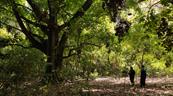 Parque Nacional Francisco Alberto Caama&ntilde;o: donde la naturaleza y la historia se unen