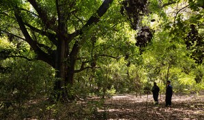 Parque Nacional Francisco Alberto Caama&ntilde;o: donde la naturaleza y la historia se unen