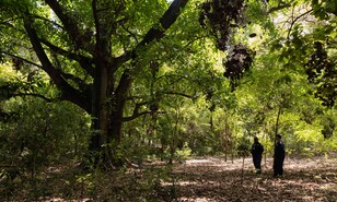 Parque Nacional Francisco Alberto Caama&ntilde;o: donde la naturaleza y la historia se unen