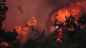 Espa&ntilde;a recibe apoyo de Portugal, Grecia e Italia para hacer frente a los incendios