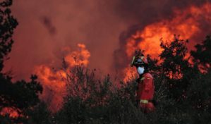 Espa&ntilde;a recibe apoyo de Portugal, Grecia e Italia para hacer frente a los incendios