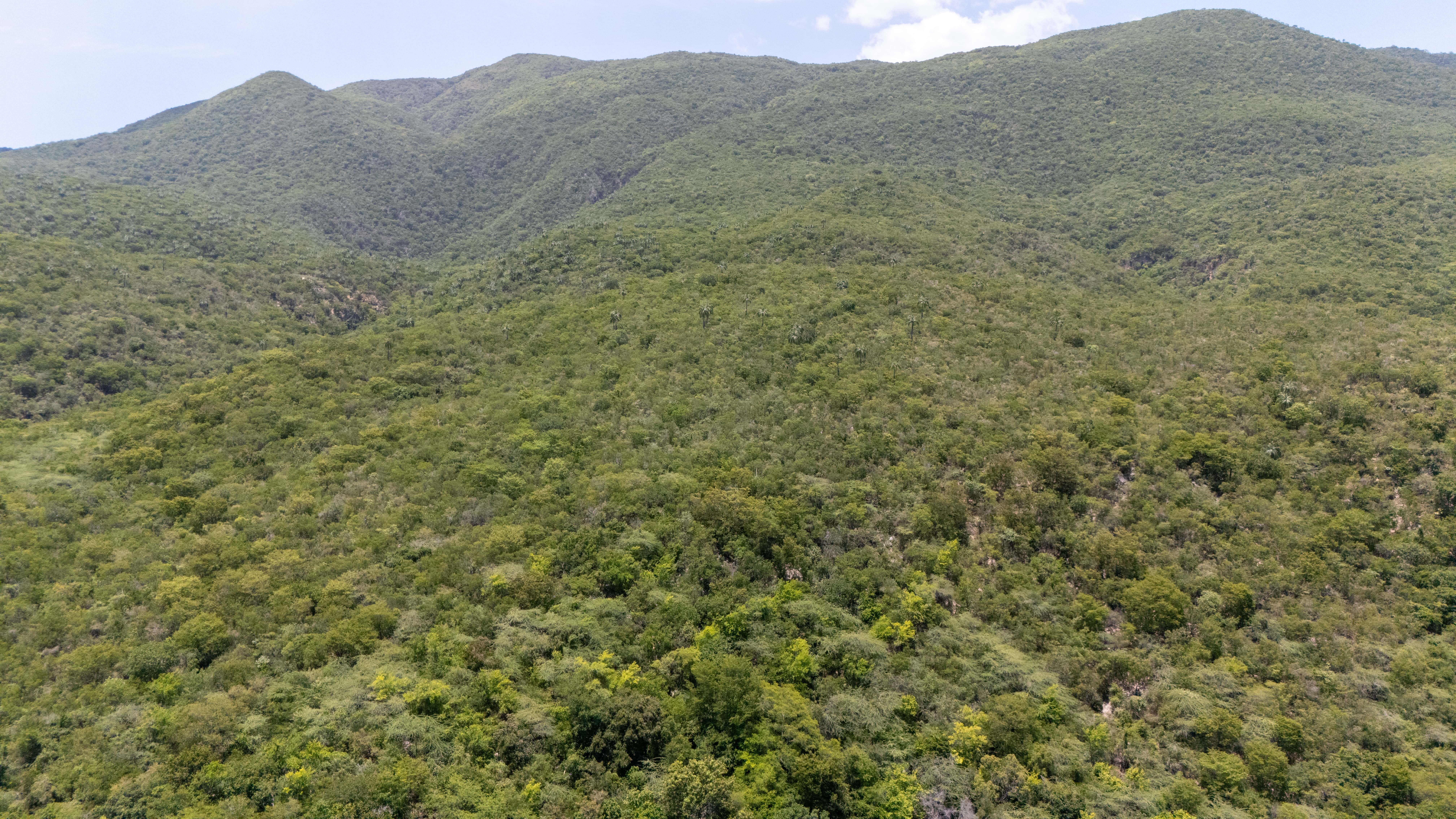 Vista aérea del parque.