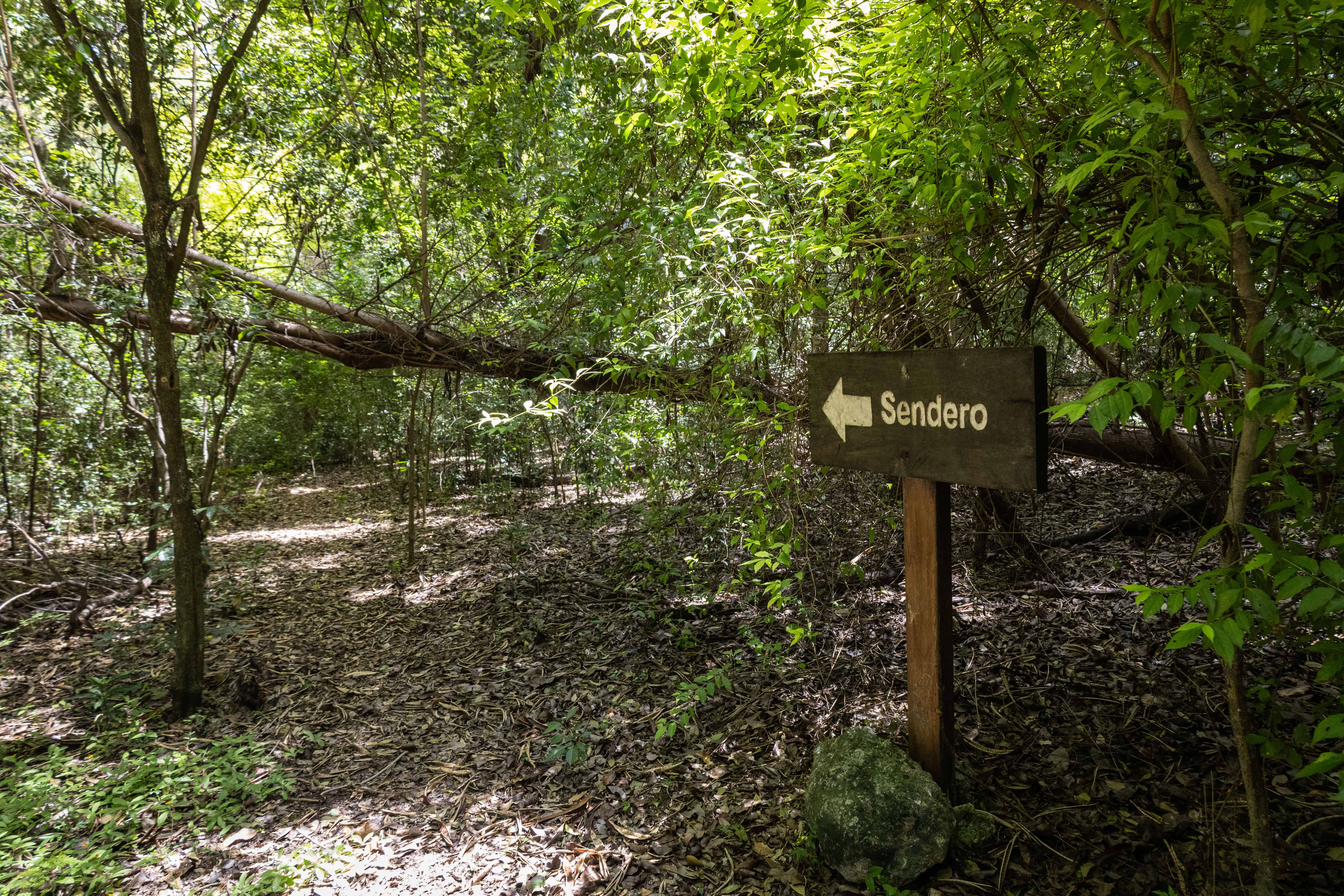 Uno de los senderos del parque.