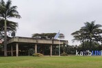 La ONU advierte en Nairobi que el mundo no avanza lo suficiente en biodiversidad