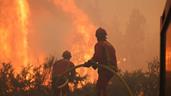Los incendios arrasaron 98,000 hect&aacute;reas en Francia, un r&eacute;cord desde 1976