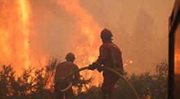 Los incendios arrasan m&aacute;s de 700,000 hect&aacute;reas en Estados Unidos