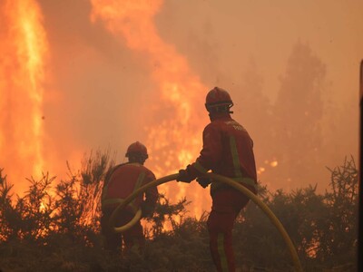 Incendios arrasaron 98,000 hectáreas en Francia, récord desde 1976