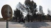 OMM: el cambio clim&aacute;tico aumenta el riesgo de incendios, aunque no sea el &uacute;nico factor