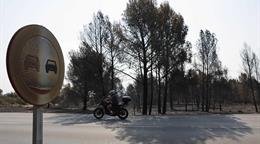 OMM: el cambio clim&aacute;tico aumenta el riesgo de incendios, aunque no sea el &uacute;nico factor