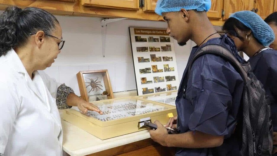 Las tesis universitarias examinan problemáticas reales que afectan del país