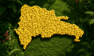 Banana Republic