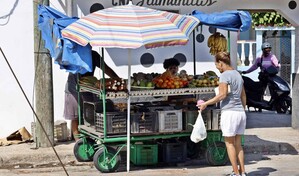 De gasolineras a farmacias: Cuba abre amplios sectores a la inversión privada