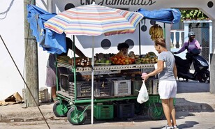 De gasolineras a farmacias: Cuba abre amplios sectores a la inversi&oacute;n privada