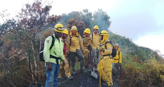 Reportan control de incendio en el Parque Nacional Monta&ntilde;a La Humeadora