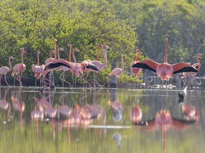 Parque Zoológico Nacional y la tenencia ilegal de animales